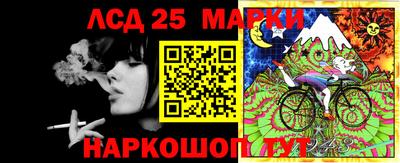 apvp Донской