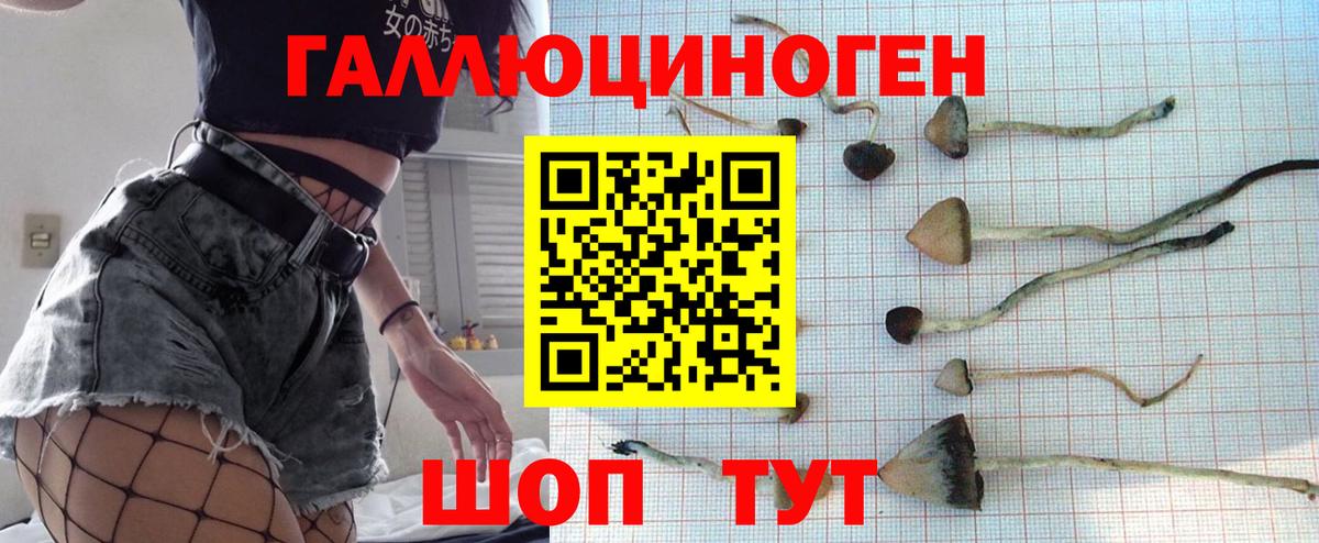 Мурманск  Псилоцибиновые грибы мухоморы  Вход с VPN  дарнет шоп  Псилоцибиновые грибы мицелий 